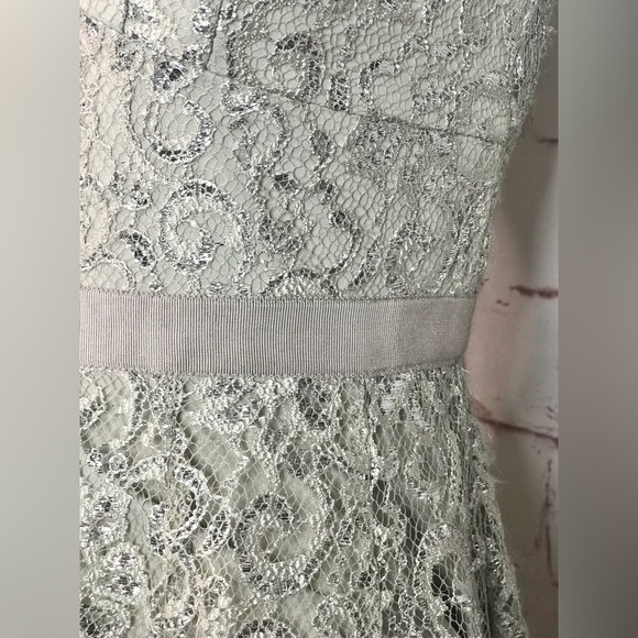 ADRIANNA PAPELL Silver Lace Overlay Fit & Flare Minidress Size 4 PETITE - Picture 11 of 16